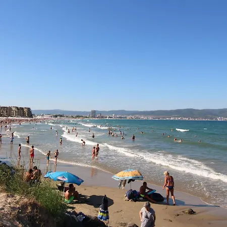 Amadeus I B31 Sunny 써니비치