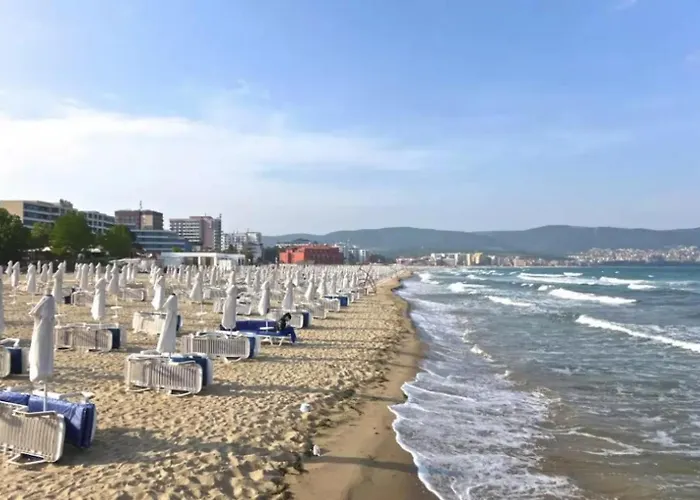 Amadeus I B31 Sunny Apartament