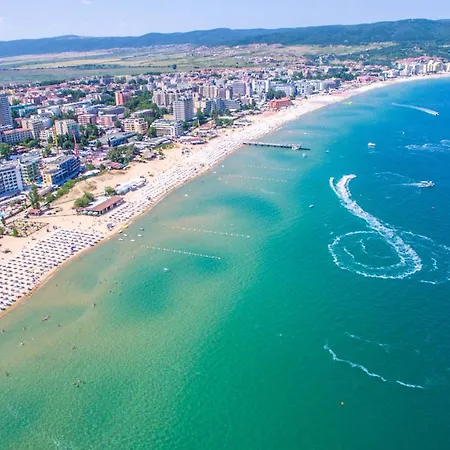 Amadeus I B31 Sunny * Σάνι Μπιτς